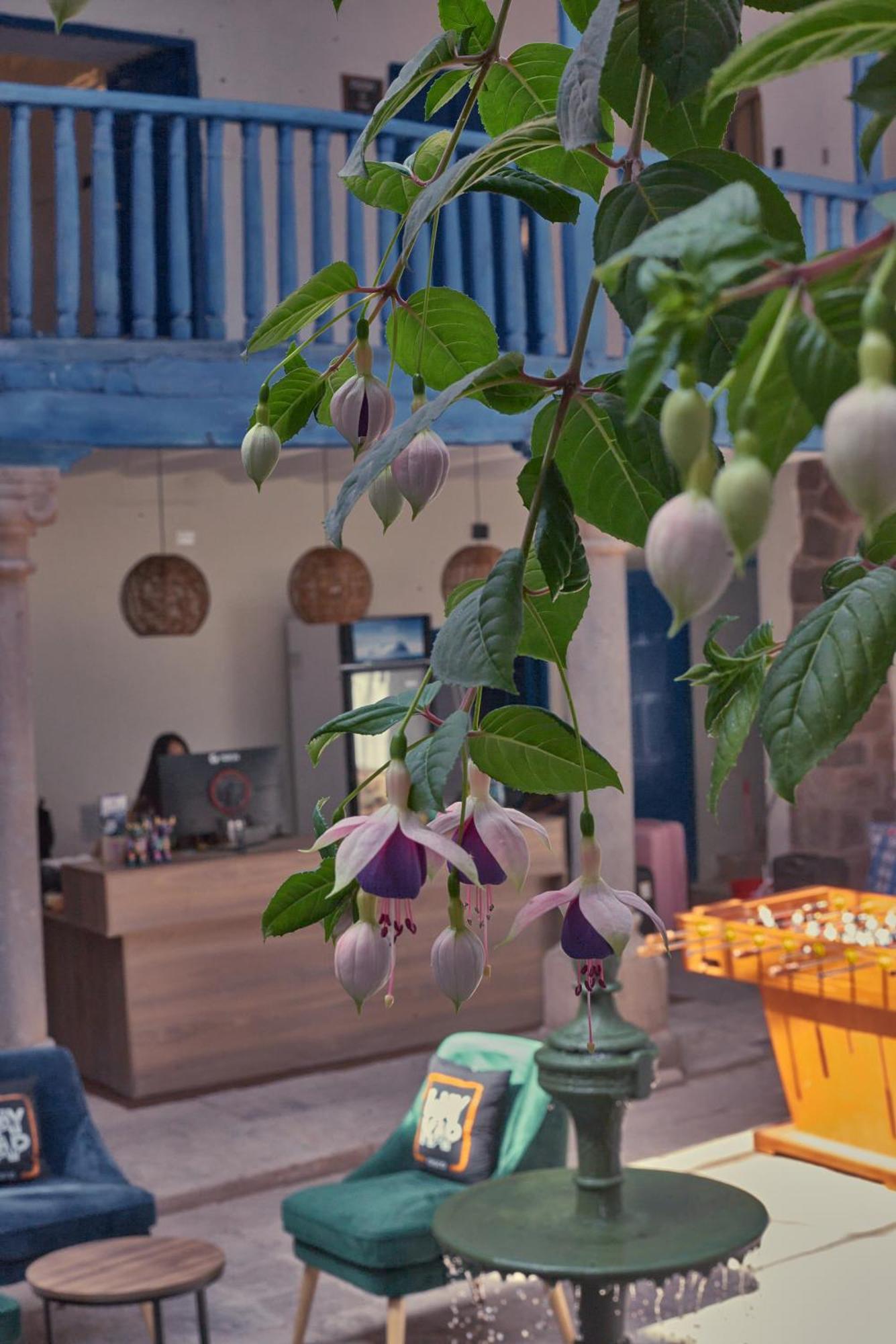 Way Kap Hostel Cusco Ngoại thất bức ảnh