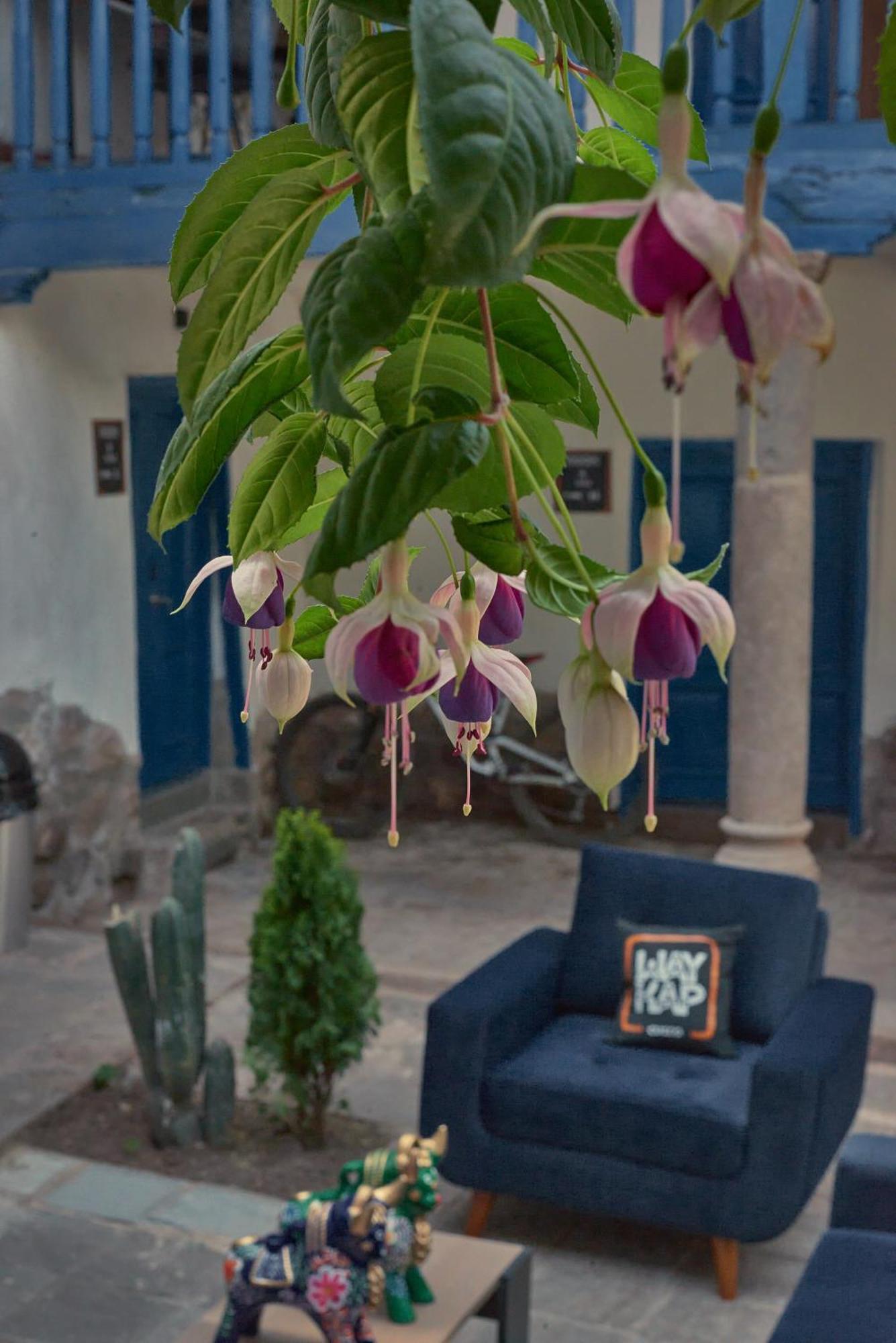 Way Kap Hostel Cusco Ngoại thất bức ảnh